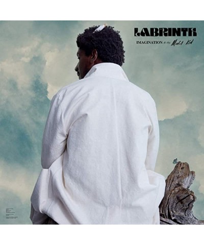 Labrinth Imagination & the Misfit Kid Vinyl Record $8.10 Vinyl