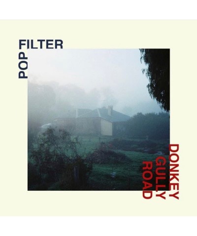 Pop Filter Donkey Gully Road Vinyl Record $7.78 Vinyl