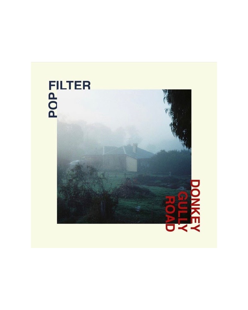 Pop Filter Donkey Gully Road Vinyl Record $7.78 Vinyl